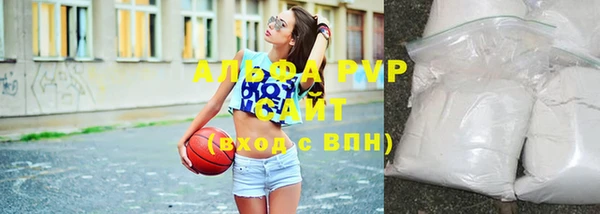 тгк Абаза