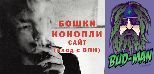 дмт Осинники