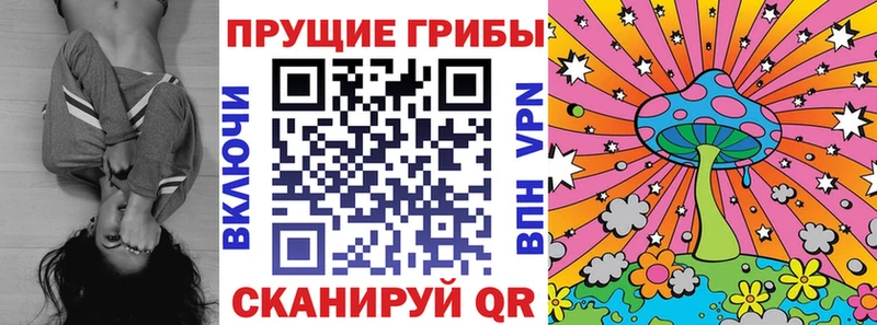 Псилоцибиновые грибы GOLDEN TEACHER  Лакинск 